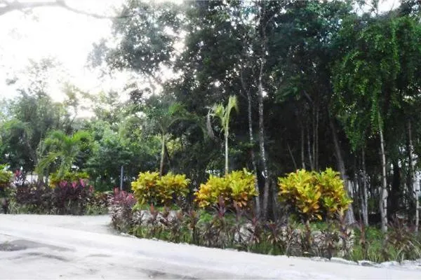 La Casa Del Arbol -4Bed 3 Bath Villa Puerto Morelos