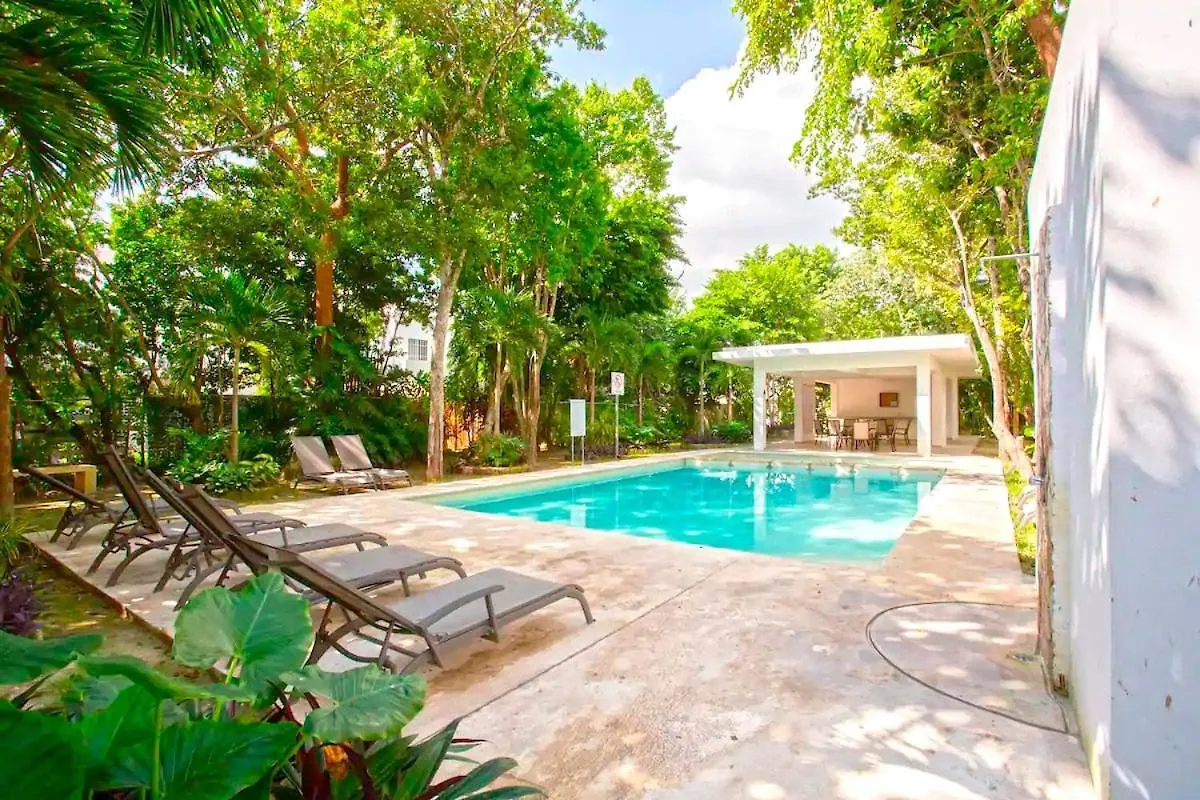 Villa La Casa del Arbol Puerto Morelos